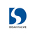 Hebei Disai Valve Co., Ltd. Logo