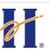 Sichuan Huiyuan Optical Communications Co., Ltd, Logo