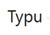typu group Logo